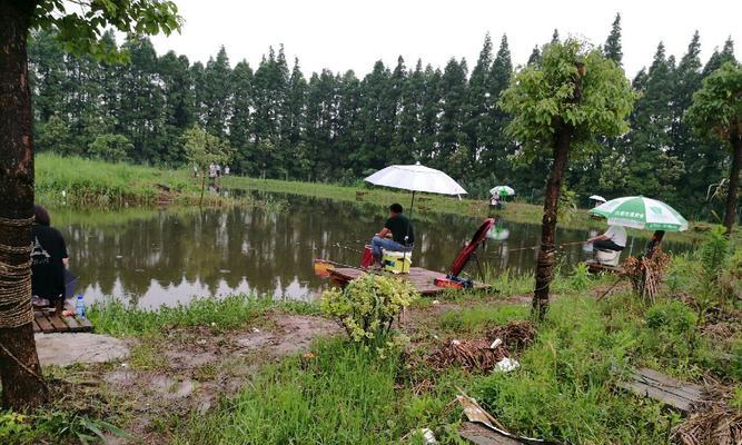 广东钓场多种钓鱼技巧（掌握广东钓场多种钓鱼技巧）