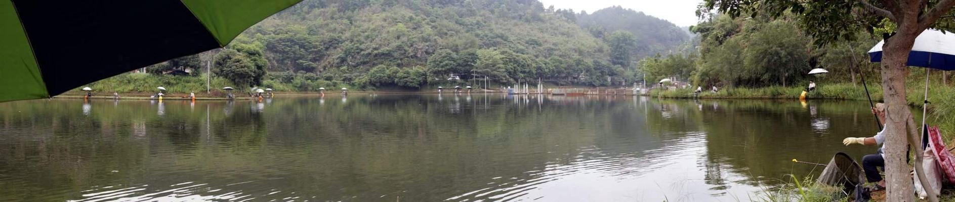 广东收费水库钓鱼技巧有哪些？如何提高钓鱼成功率？
