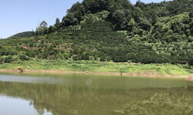 广东水库钓鱼技巧有哪些？如何提高钓鱼成功率？