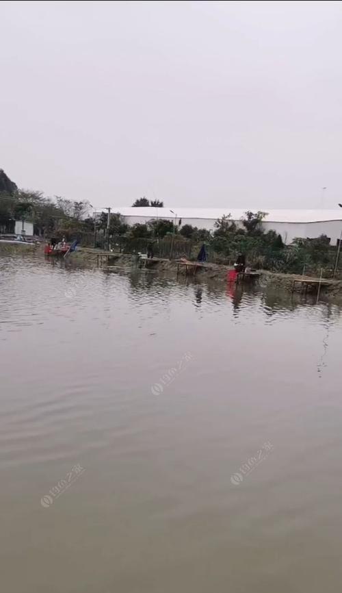 广东水深钓鱼技巧是什么？如何掌握？