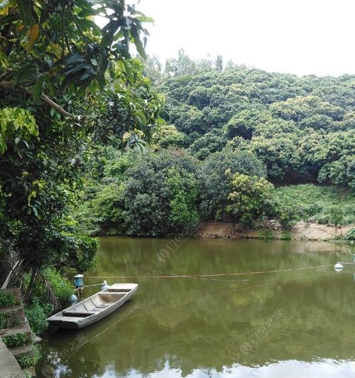 广府西二环钓鱼技巧有哪些？如何提高钓鱼成功率？