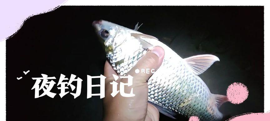 广西钓鱼技巧教程？如何快速掌握广西钓鱼技巧？