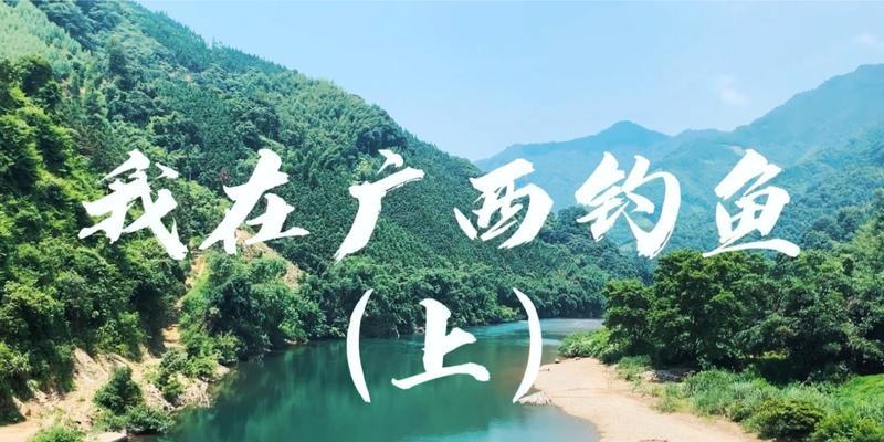 广西钓鱼最好的方法和技巧是什么？如何提高钓鱼技巧？
