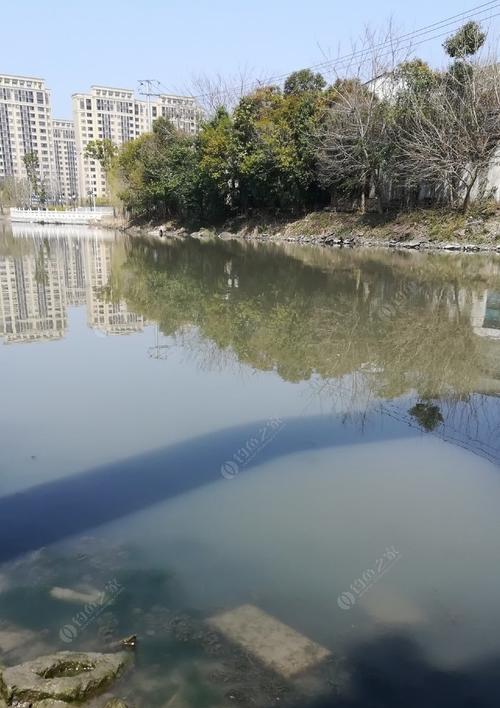 广西河里钓鱼技巧有哪些？如何提高钓鱼成功率？