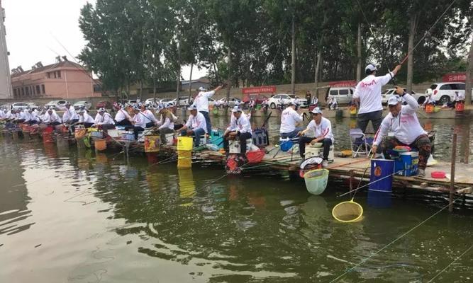 广西黑坑钓鱼最佳方法和技巧是什么？如何提高钓鱼成功率？
