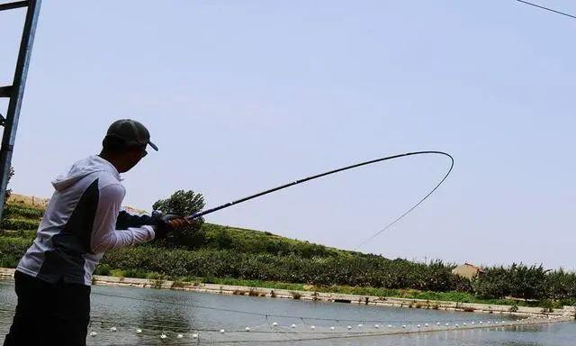 广西水库野钓技巧有哪些？如何提高钓鱼成功率？