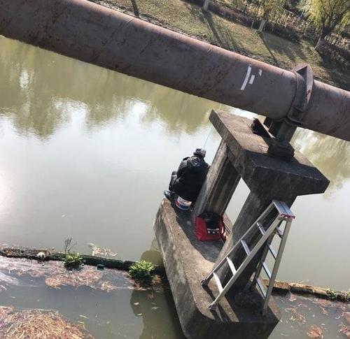 广西水泥地面钓鱼技巧是什么？如何提高钓鱼成功率？
