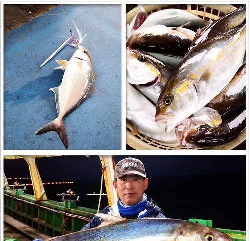 广西油井钓鱼技巧有哪些？如何提高油井钓鱼的成功率？