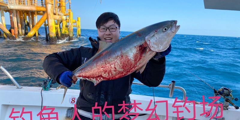 广西油井平台钓鱼技巧有哪些？如何提高钓鱼成功率？
