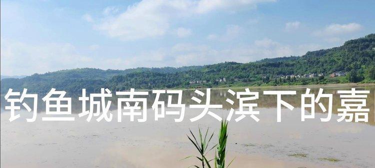 广元嘉陵江钓鱼技巧有哪些？如何提高钓鱼成功率？