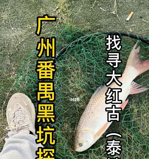 广州春天钓鱼技巧有哪些？如何应对春季钓鱼的常见问题？