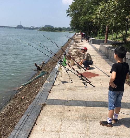 广州钓鱼技巧教程新手入门指南？如何快速掌握钓鱼技巧？