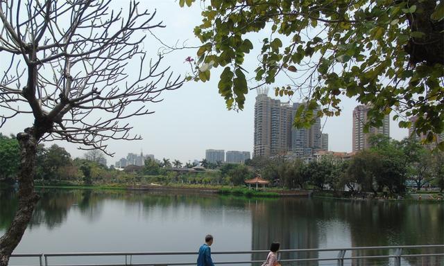 广州东山湖公园钓鱼技巧有哪些？如何提高钓鱼成功率？