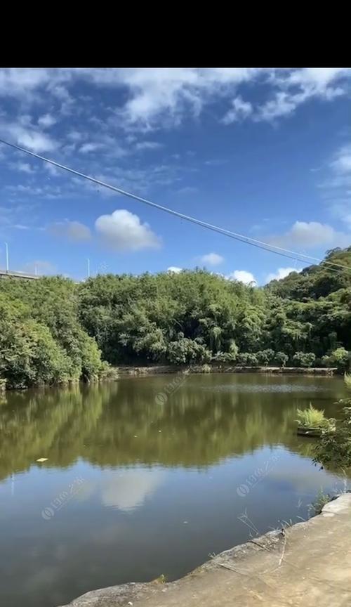 广州冬天钓鱼技巧有哪些？如何应对低温天气？