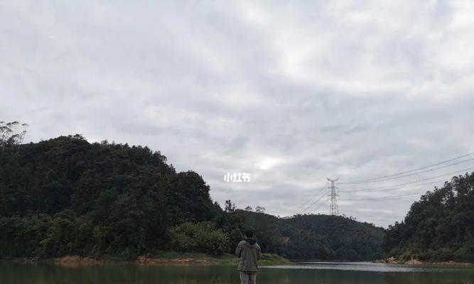 广州冬天钓鱼技巧有哪些？如何应对低温天气？