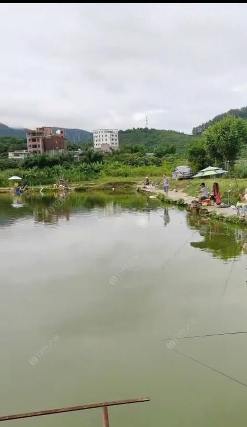 广州野钓钓鱼技巧有哪些？如何提高钓鱼成功率？