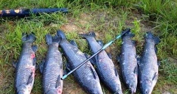 贵州河里钓鱼技巧有哪些？如何提高钓鱼成功率？