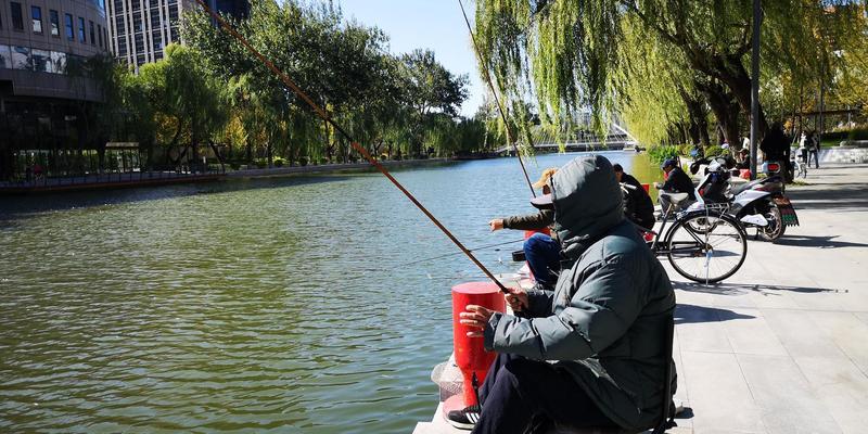 贵州乌江河钓鱼技巧有哪些？如何提高钓鱼成功率？