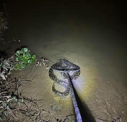 贵州野钓夜钓最佳时间是什么时候？有哪些技巧可以提高成功率？