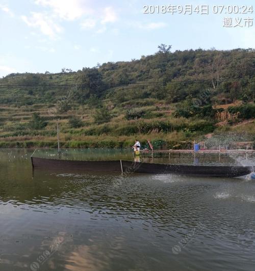 贵州遵义水库野钓技巧有哪些？如何提高钓鱼成功率？