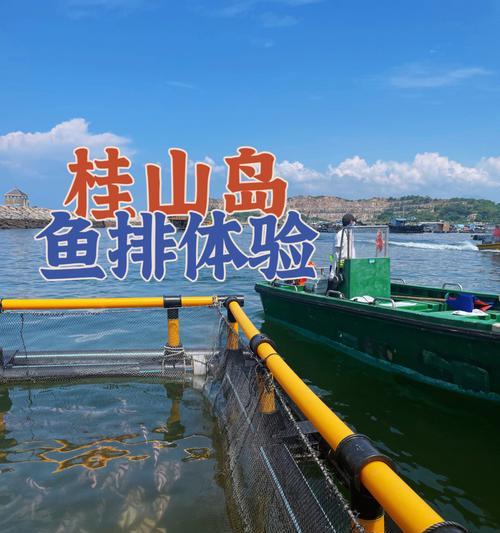 桂山岛海钓沉底钓鱼技巧有哪些？如何提高钓获率？