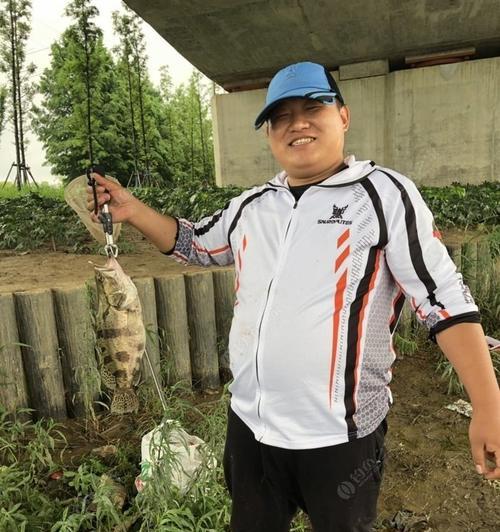 桂鱼垂钓方法技巧有哪些？如何提高垂钓桂鱼的成功率？