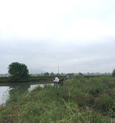 跪求在河里钓鱼的技巧？如何提高钓鱼成功率？