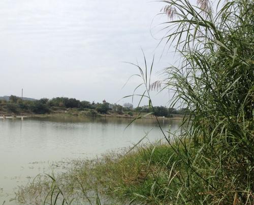 滚水坝钓鱼技巧有哪些？如何在滚水坝成功钓到鱼？