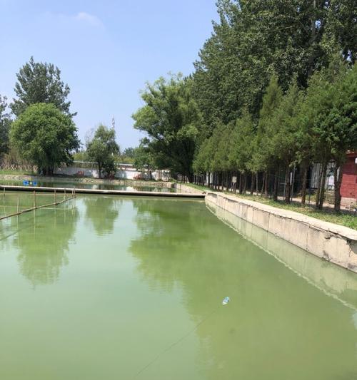 锅底形坑钓鱼技巧有哪些？如何提高钓鱼成功率？