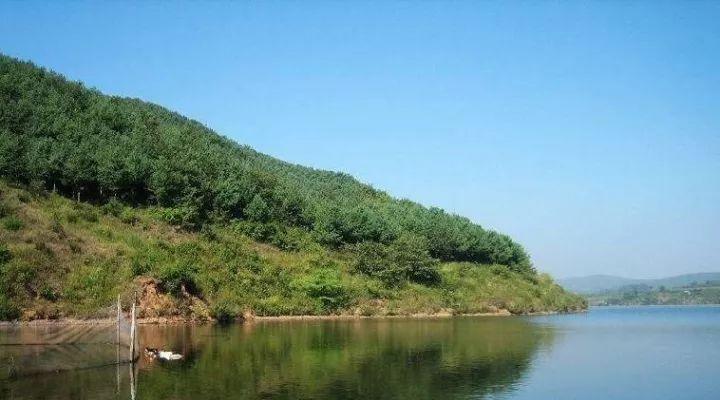 国家保护区野钓技巧有哪些？如何在保护区内合法钓鱼？
