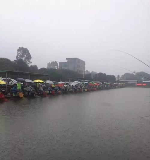 国庆下雨天钓鱼技巧是什么？如何应对雨天钓鱼的挑战？