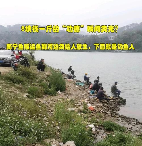 国外钓鱼放生技巧有哪些？如何正确进行钓鱼放生？