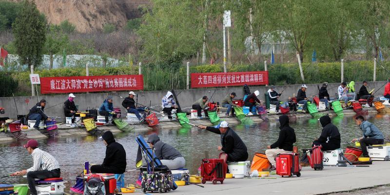 国外钓鱼技巧比赛有哪些独特之处？如何参与？