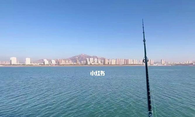 海岸边钓鱼的技巧有哪些？如何提高钓鱼成功率？