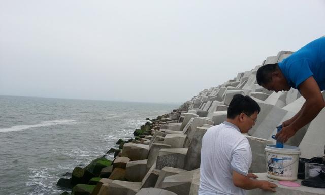 海岸边钓鱼的技巧有哪些？如何提高钓鱼成功率？