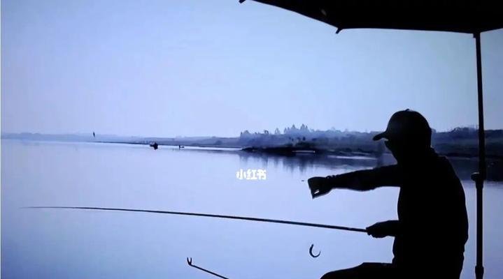 海岸边流水钓鱼技巧有哪些？如何提高钓鱼成功率？