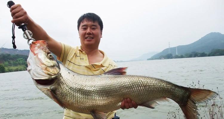 海岸拖钓鱼技巧有哪些？如何提高拖钓成功率？