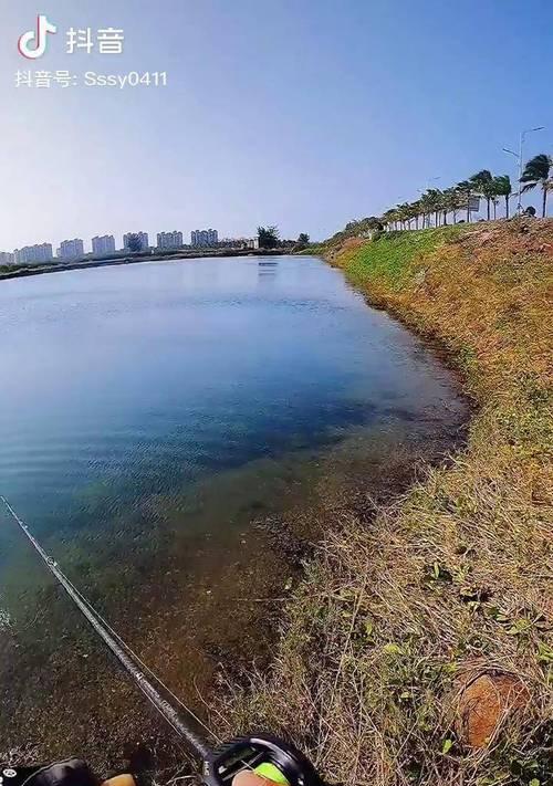 海岸遥控钓鱼方法和技巧是什么？如何提高遥控钓鱼的成功率？