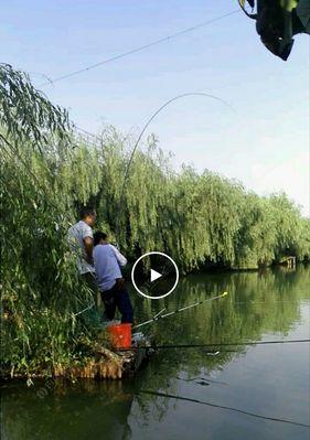 海拔气压钓鱼技巧？如何根据气压变化选择最佳钓鱼时机？