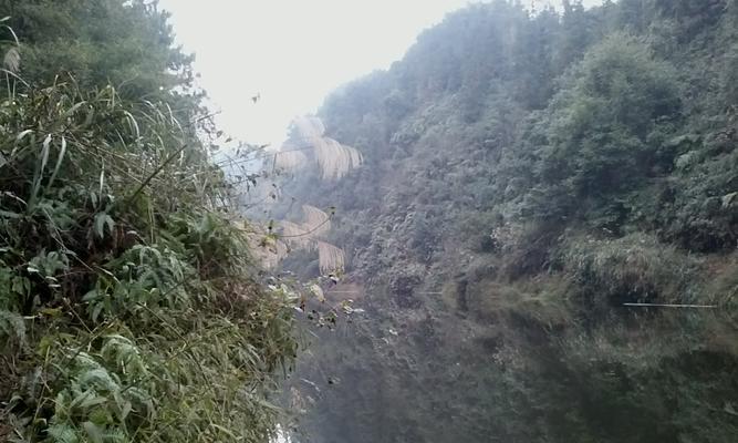 海坝钓鱼方法和技巧有哪些？如何提高海坝钓鱼的成功率？