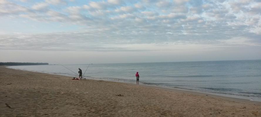 海边垂钓技巧和方法有哪些？如何提高钓鱼成功率？