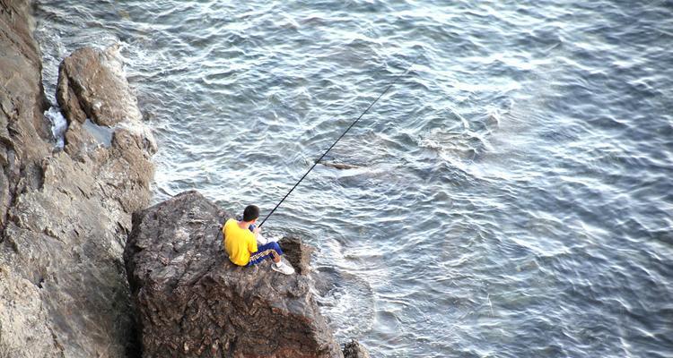 海边垂钓技巧教程简单？如何快速掌握？