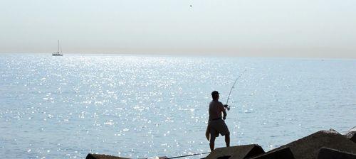 海边垂钓技巧教程？如何提高海边垂钓的成功率？