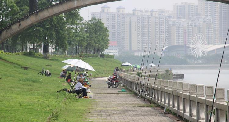 海边大桥钓鱼技巧教程？如何在海边大桥上成功钓到鱼？