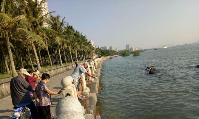 海边钓鱼不好钓怎么办？掌握这些技巧提升渔获！
