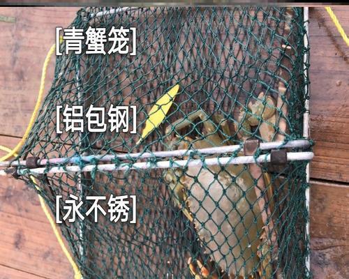 海边钓鱼钓螃蟹技巧有哪些？如何提高成功率？