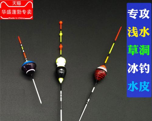 海边钓鱼浮漂技巧有哪些？如何提高钓鱼成功率？