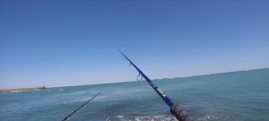 海边钓鱼技巧小知识教程？如何提高钓鱼成功率？