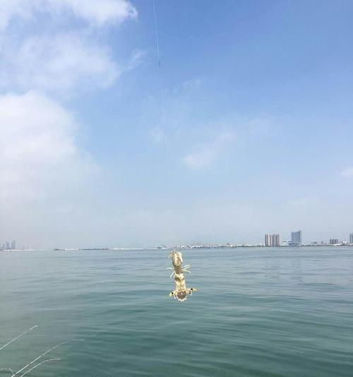 海边钓鱼技巧与窍门有哪些？如何提高钓鱼成功率？