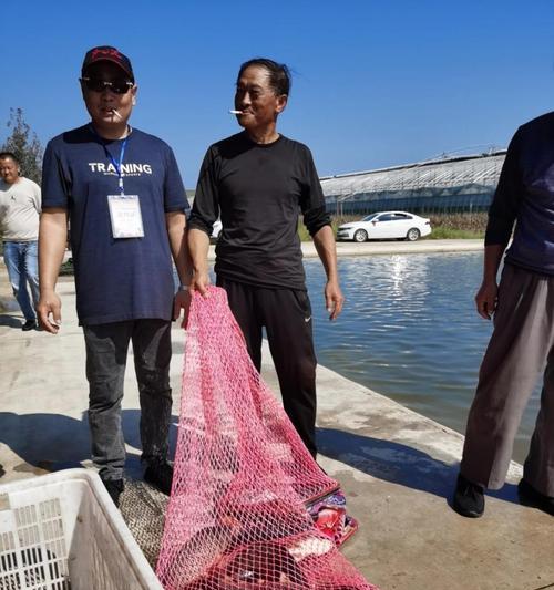 海边钓鱼拉钩技巧有哪些？如何提高拉钩成功率？